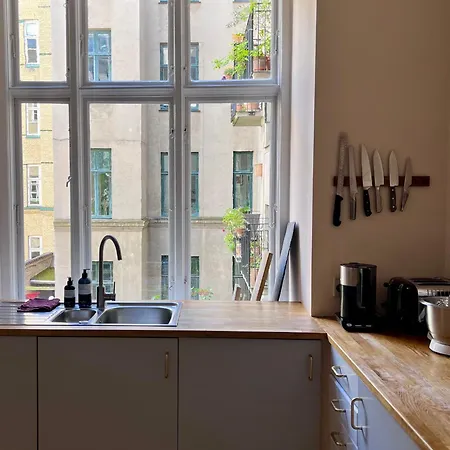 Klassiek Ruim Herenappartement Bij Tivoli Appartement